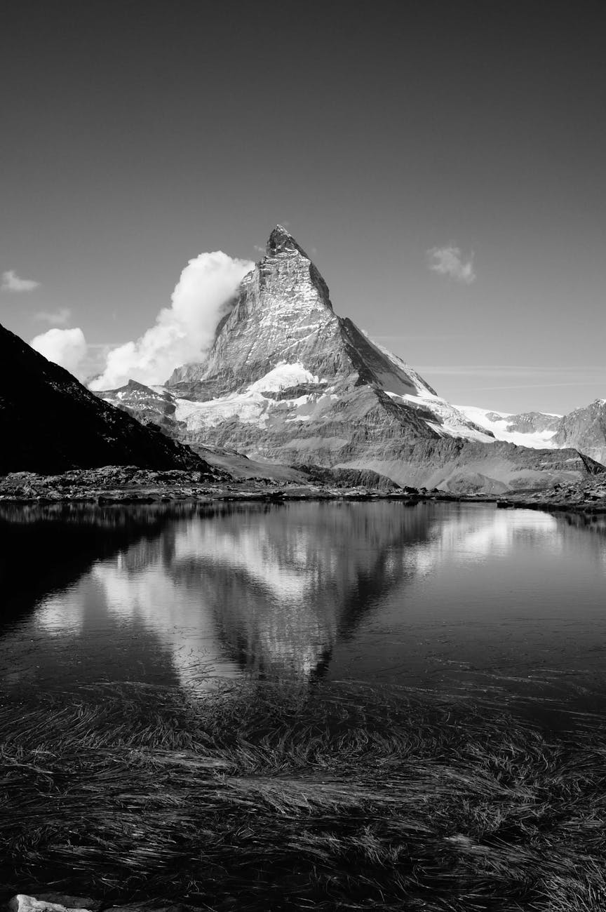 The Ultimate Face-Off: Clinicea vs. Salonist Software Showdown